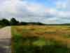 J2_carnac-pont_augan_karine_sur_la_route.jpg