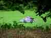 J4_saint_clement-laniscat_laniscat_camping_0.jpg