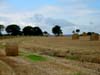 J5_laniscat-morlaix_bottes_de_foin_2.jpg