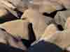 J7_plestin-nantouar_rocher_troupeau.jpg