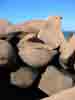 J7_plestin-nantouar_rocher_visage.jpg